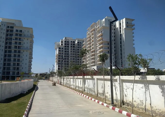3 BHK Flat